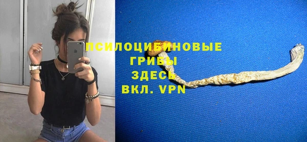стаф Алексеевка