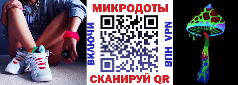 Псилоцибиновые грибы Cubensis Ачинск