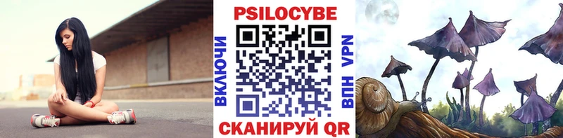 Псилоцибиновые грибы мухоморы  кракен ССЫЛКА  Ачинск 
